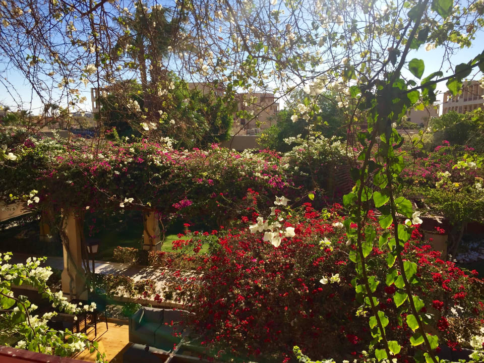 Main corredore  ROBINSON SOMA BAY