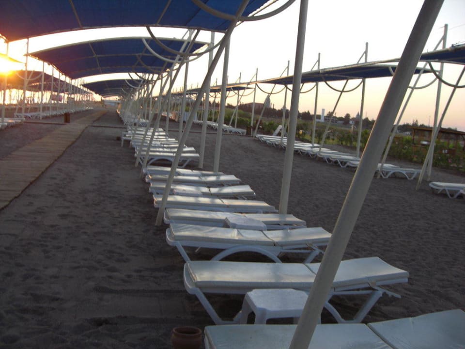 Sehr viel frei unterm Tag Seaden Sea World Resort & Spa