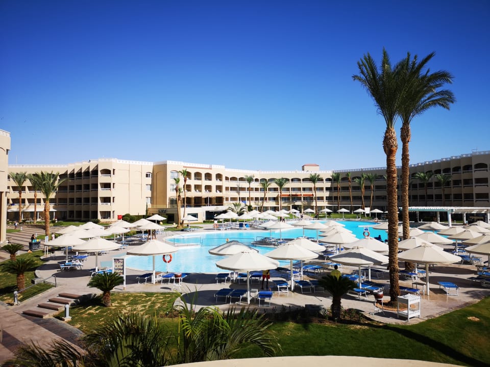 Pool Beach Albatros Resort
