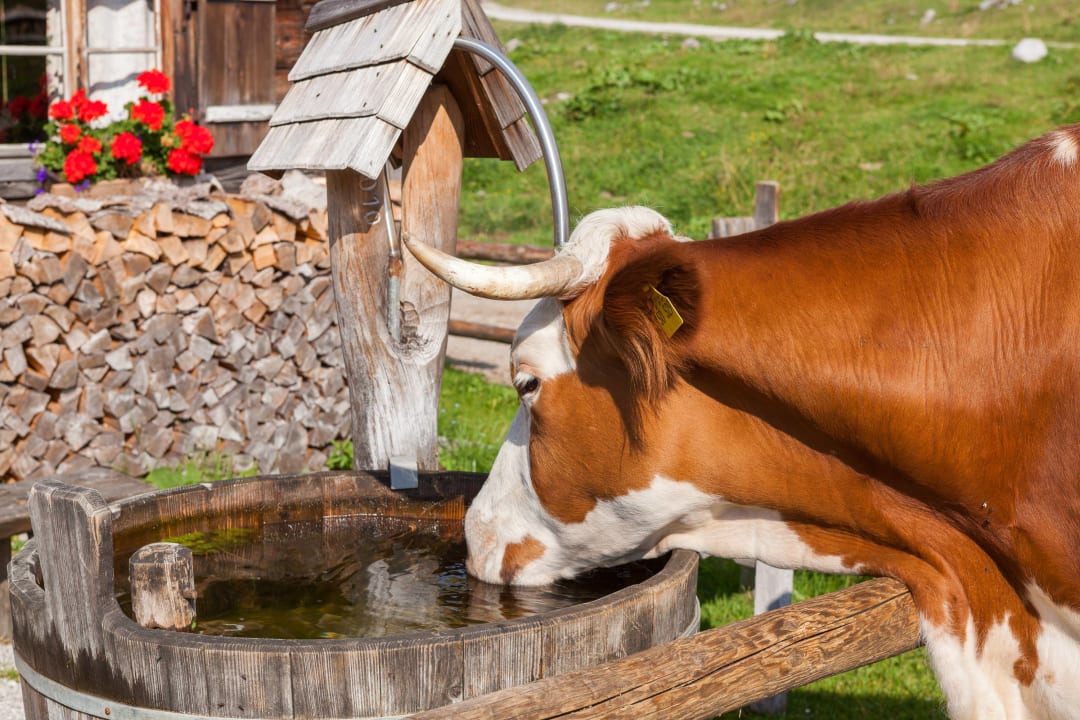 Sonstiges Grabenlehen