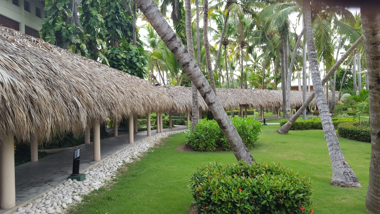 Gartenanlage Grand Palladium Punta Cana Resort & Spa