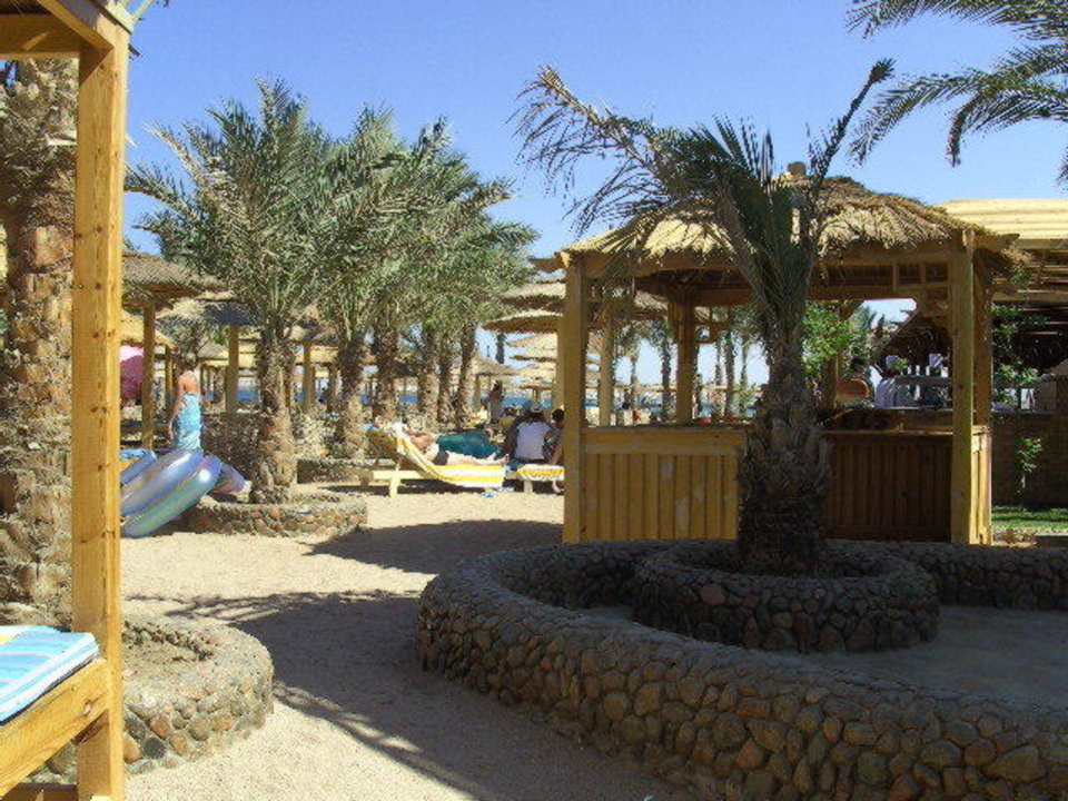 Strand Beach Albatros Resort