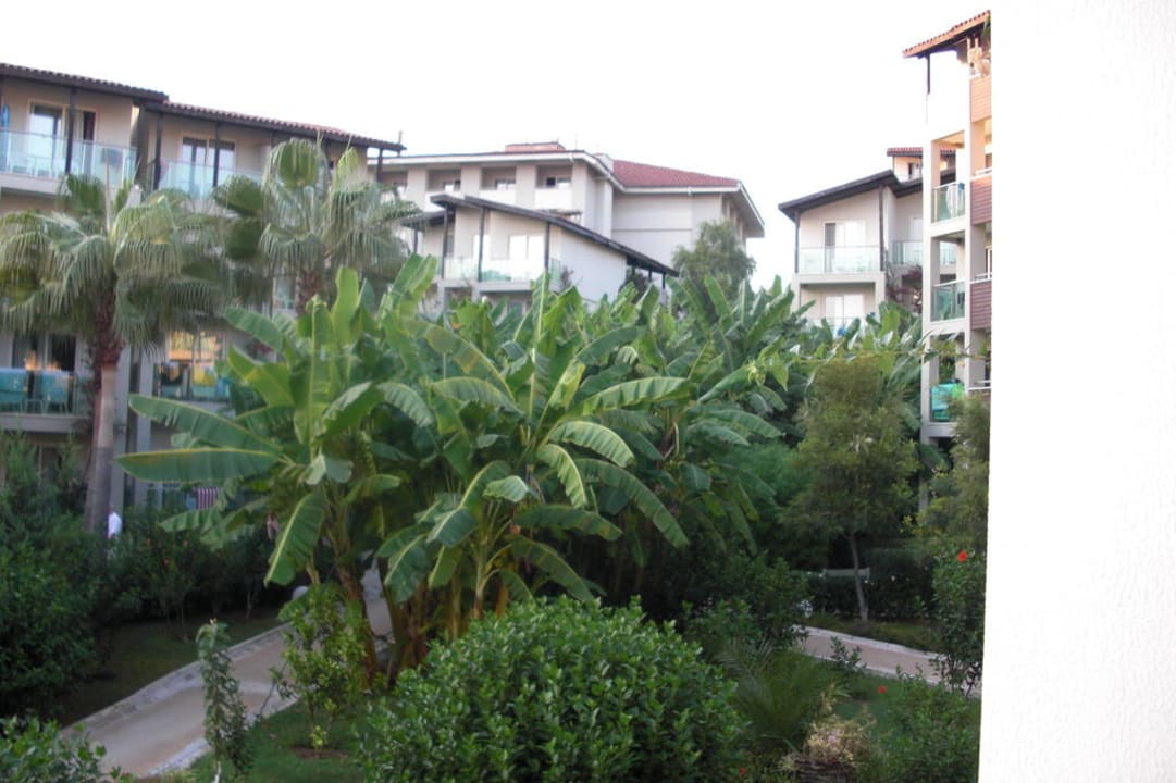 Blick auf die Rezeption Sealife Buket Resort & Beach