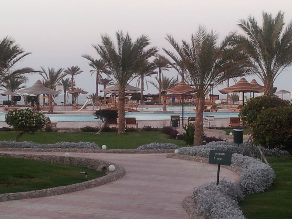 Poolanlage  Three Corners Sea Beach Resort