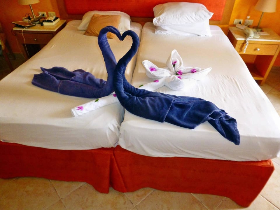 Zimmertiere Hotel Gorgonia Beach Resort