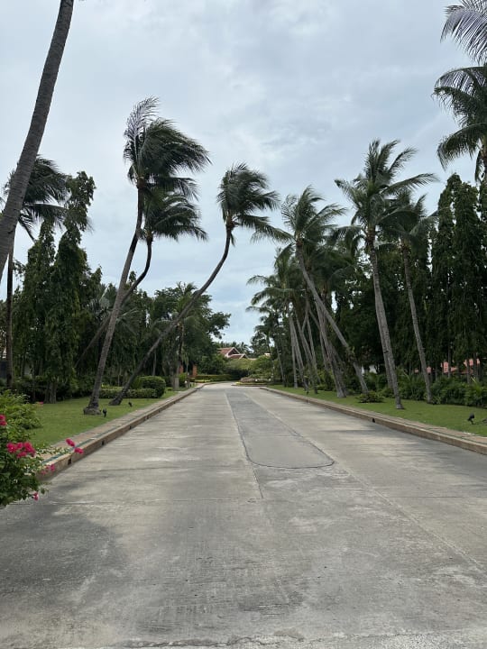 Außenansicht Santiburi Koh Samui