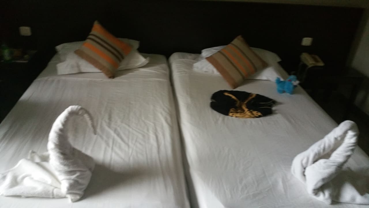 Zimmer Nozha Beach Resort & Spa