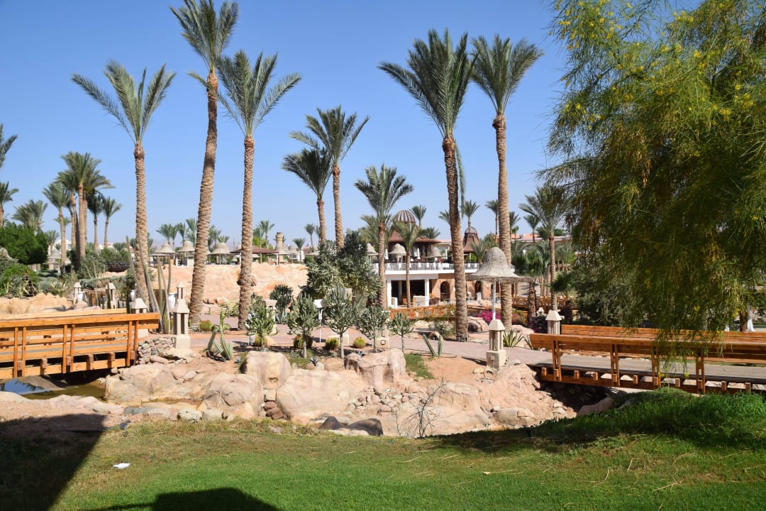 Blick vom Zimmer Parrotel Beach Resort