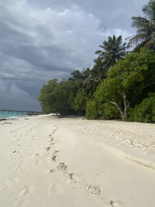 Strand NH Collection Maldives Reethi Resort