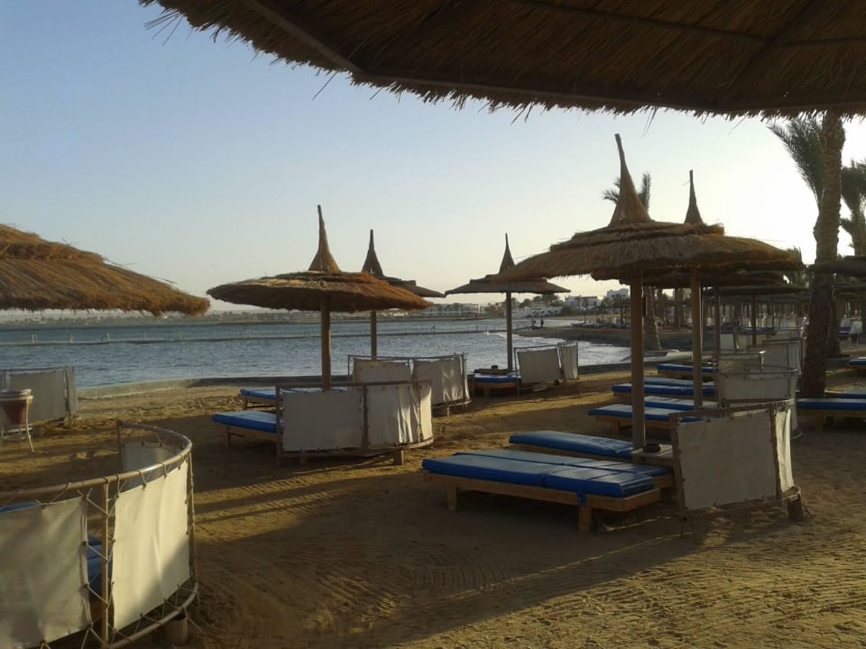 Nachbarhotel Beach Albatros Resort