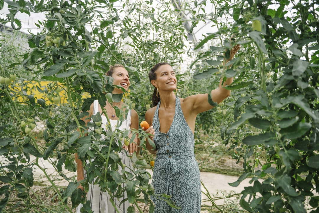 Gartenanlage Generations Riviera Maya Family Resort