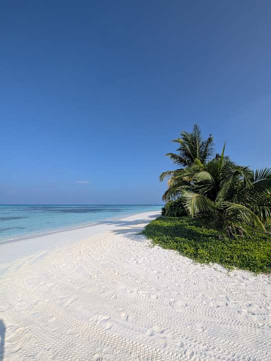Strand Jawakara Islands Maldives
