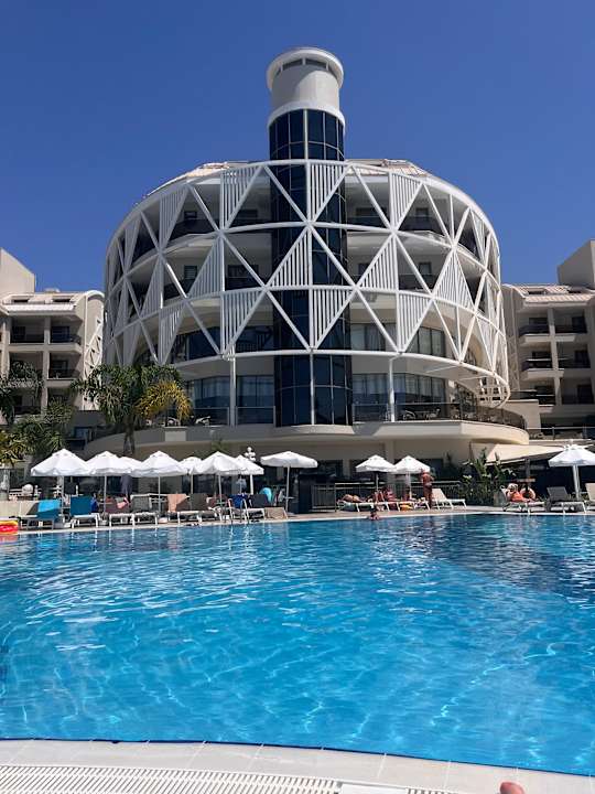 Sonstiges Seashell Vega