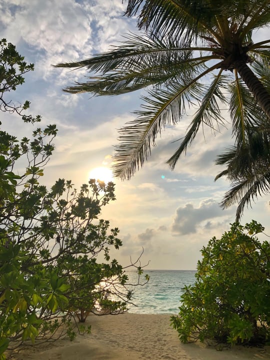 Strand Summer Island Maldives