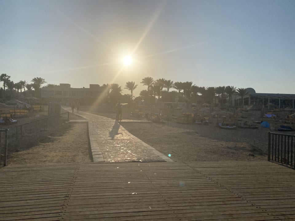 Strand Serenity Alpha Beach