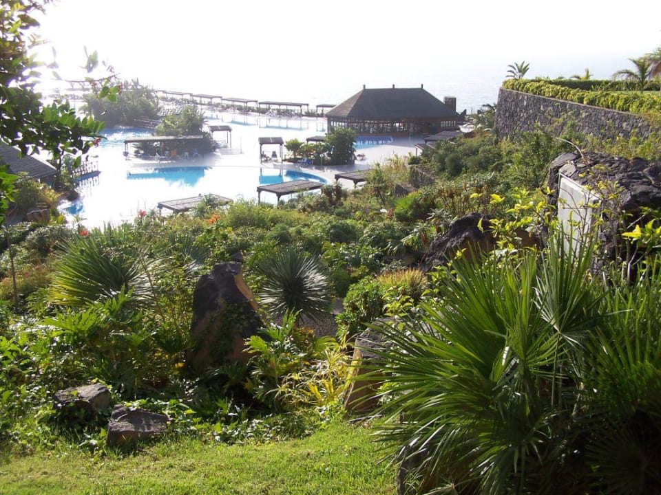 gartenanlage La Palma Princess