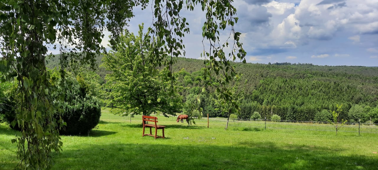 Gartenanlage Ferienhof Günterfürst - FeWo 1