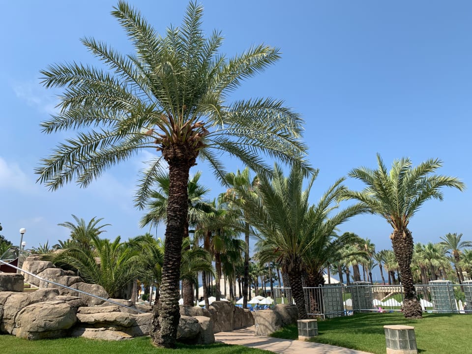 Sonstiges Monachus Family Resort Sorgun
