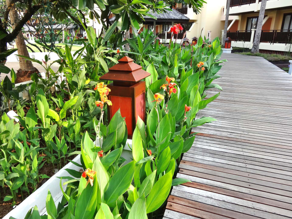 Attraktive Bepflanzung im Garten Dinso Resort & Villas Ko Chang, Vignette Collection by IHG