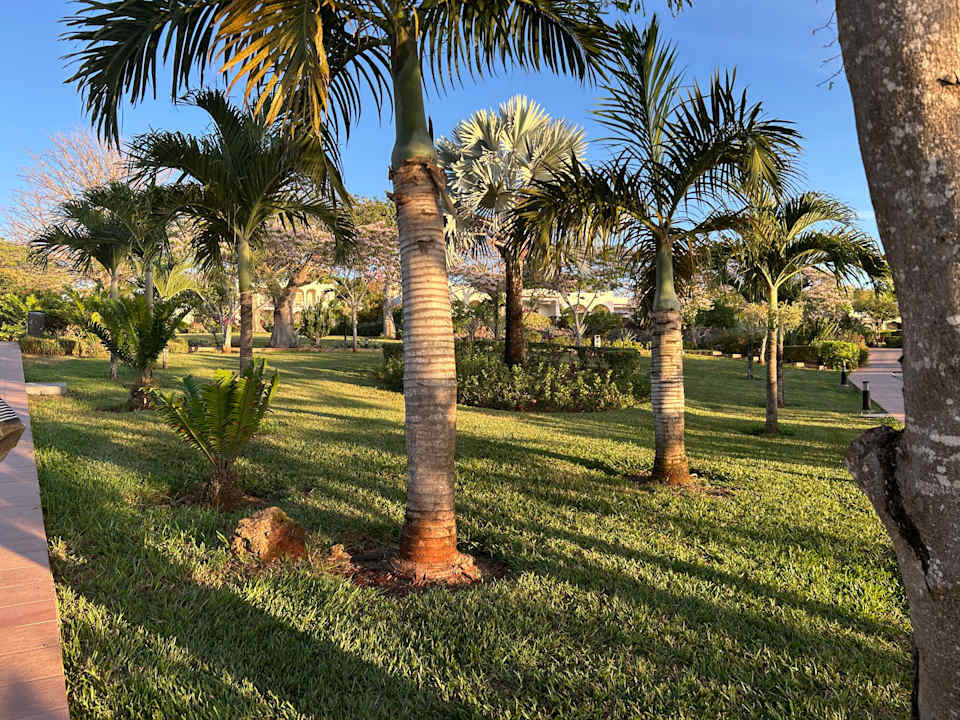 Außenansicht Hotel Riu Palace Zanzibar