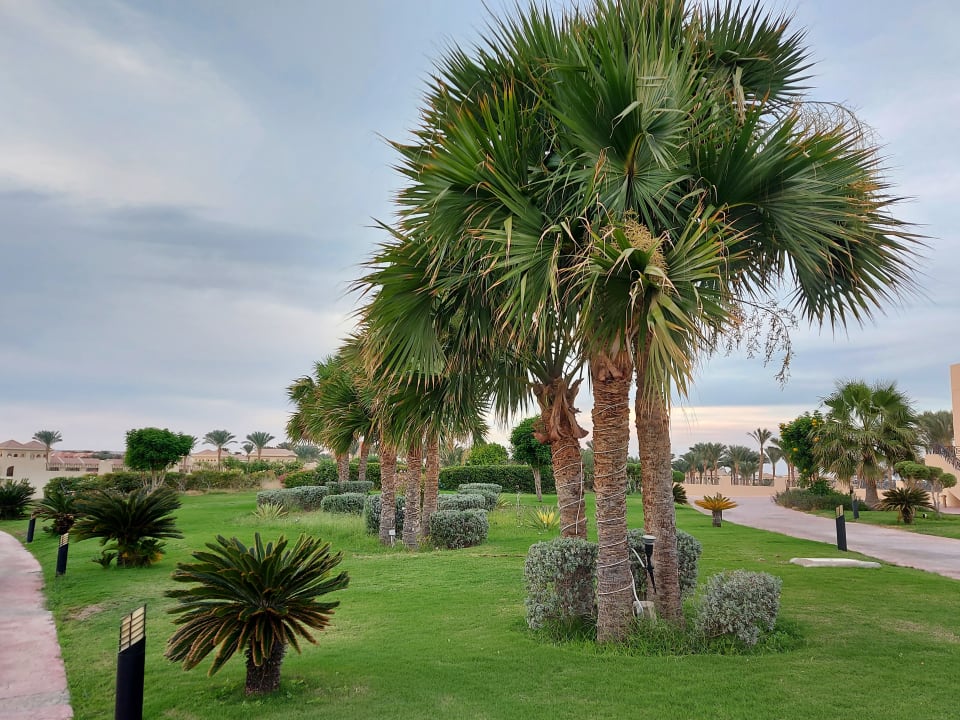 Gartenanlage Cleopatra Luxury Resort Makadi Bay