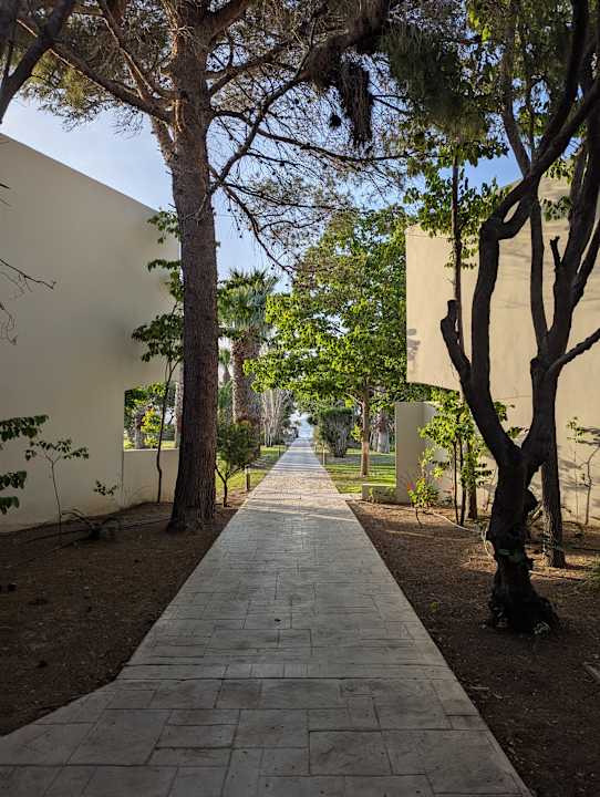 Gartenanlage Caravia Beach Hotel
