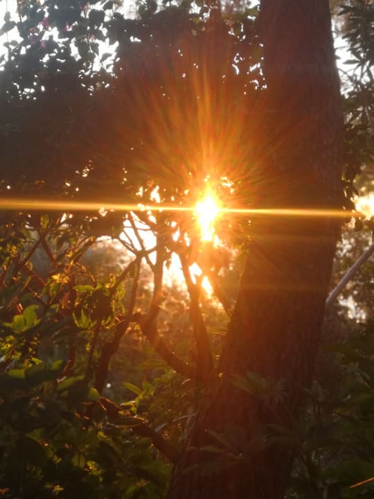 Gartenanlage İncekum West Hotel