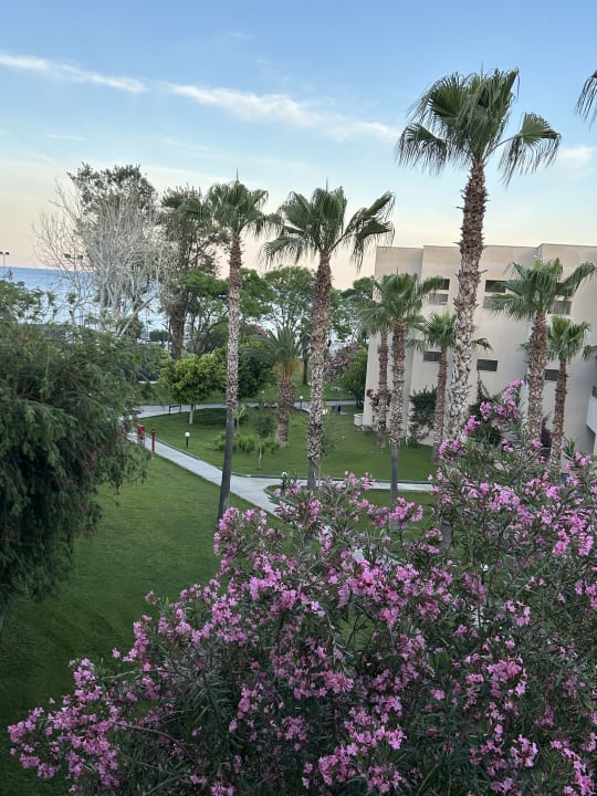 Ausblick Labranda Alantur Resort