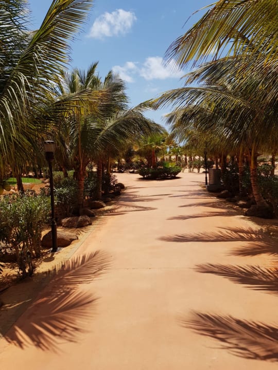 Gartenanlage Hotel Riu Touareg