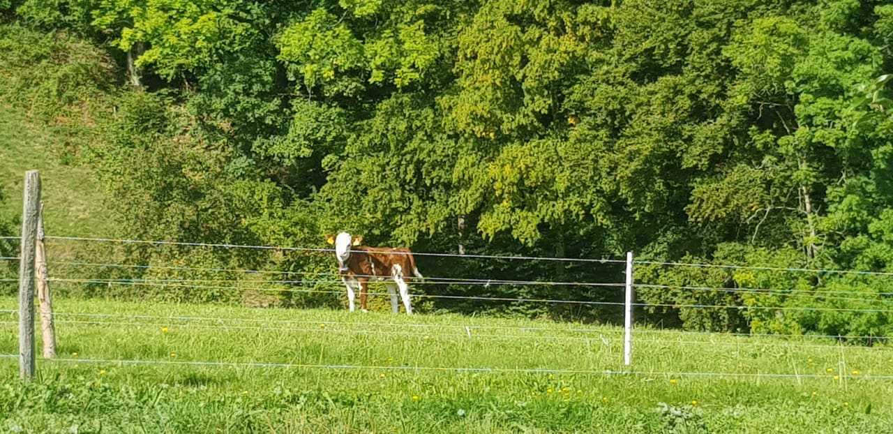 Sonstiges Bauernhof Bernhardenhof