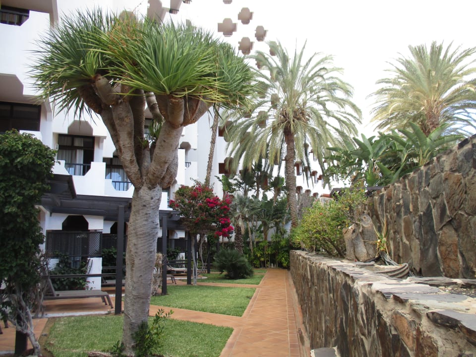 Außenansicht Corallium Beach by Lopesan Hotels - Adults only