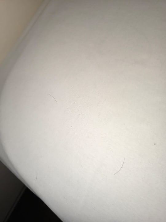 Zimmer Hotel Prens Berlin