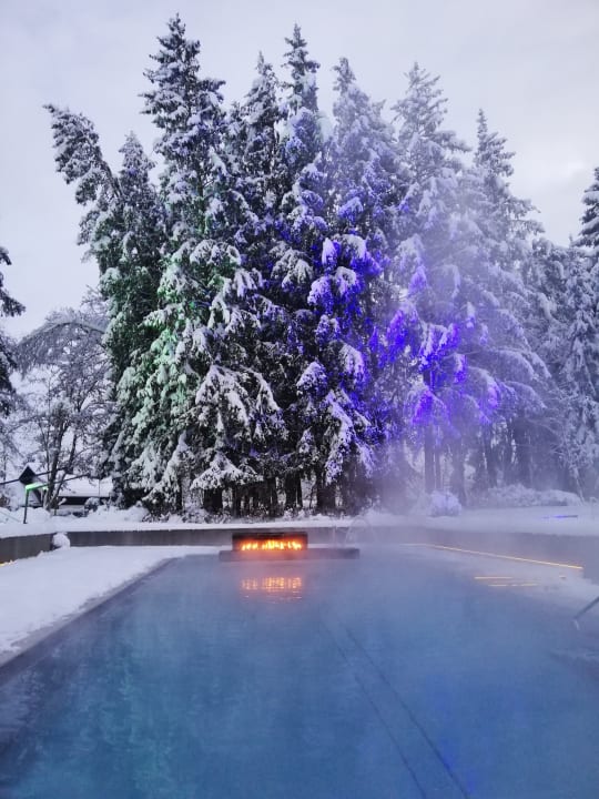 Pool Steigenberger Hotel Der Sonnenhof