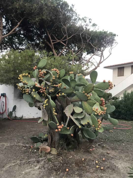 Sonstiges Hotel Punto Verde