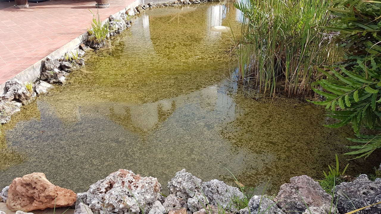 Gartenanlage Royal Zanzibar Beach Resort