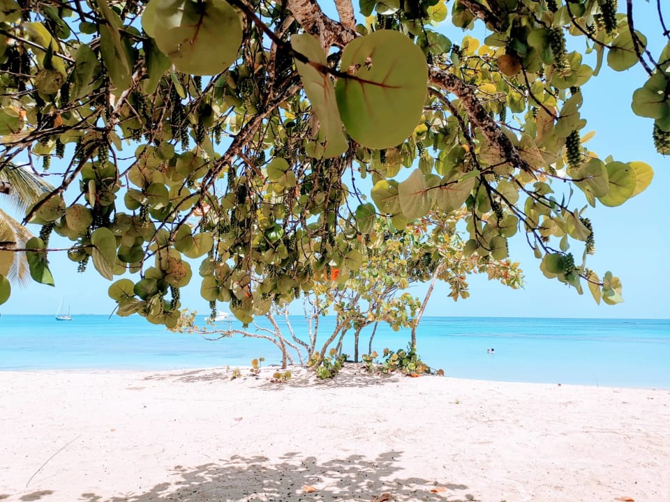 Strand Bahia Principe Grand El Portillo