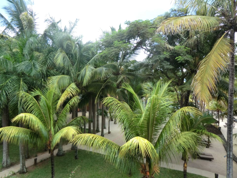 Blick vom Balkon Mauricia Beachcomber Resort & Spa