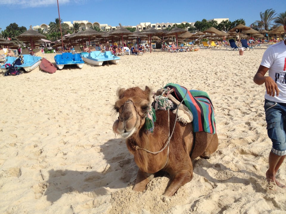 Nesrine Hotel Nesrine