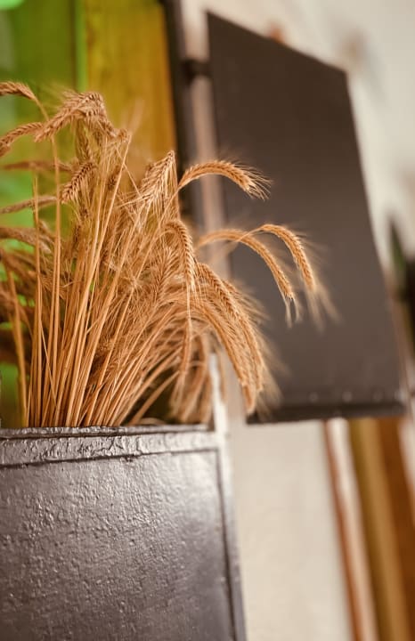 Sonstiges Elbe Resort