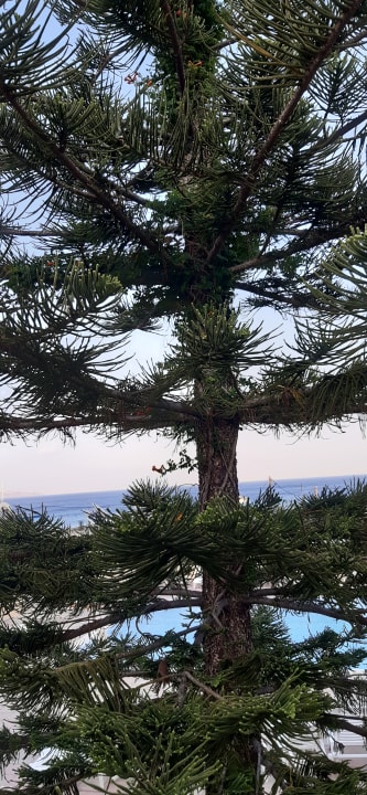 Außenansicht Apartments Kontessa