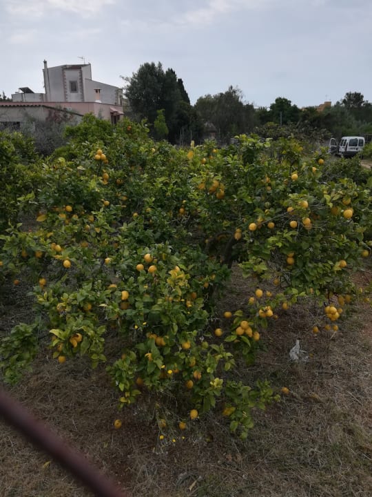 Sonstiges Millor Sol