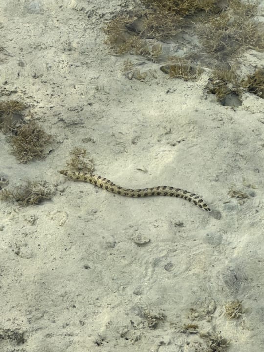 Strand Casa Mare Resort