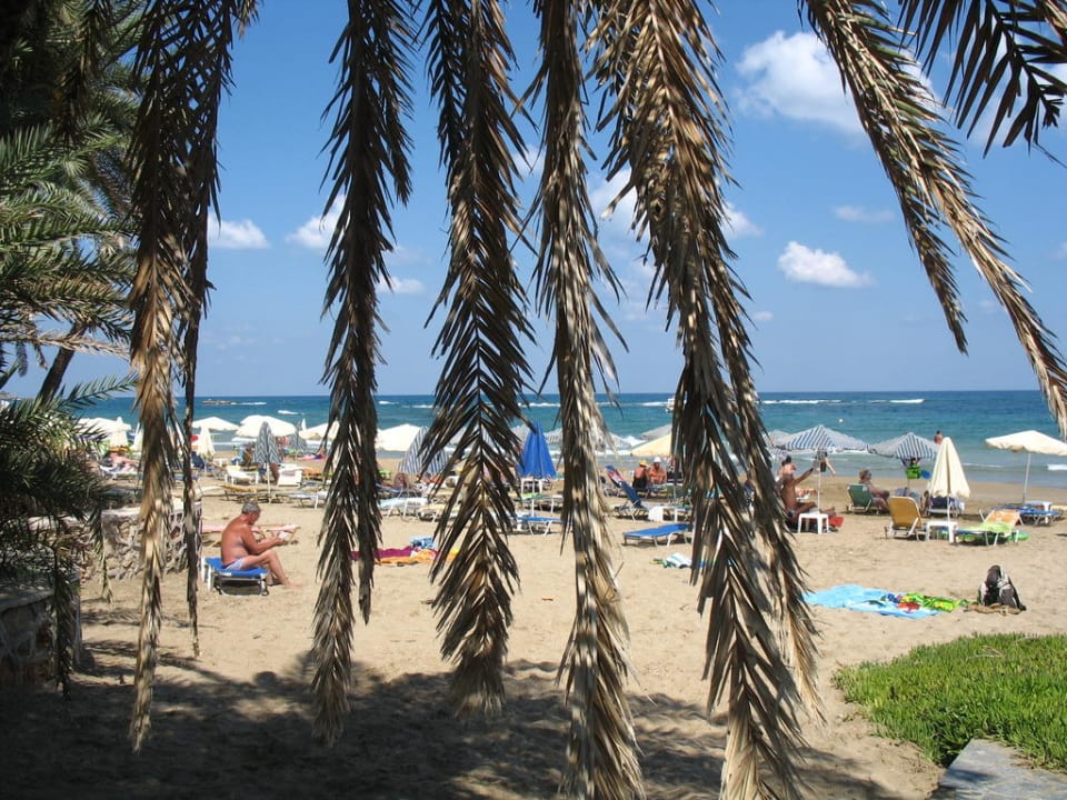 Пляж Zeus Hotels Palm Beach