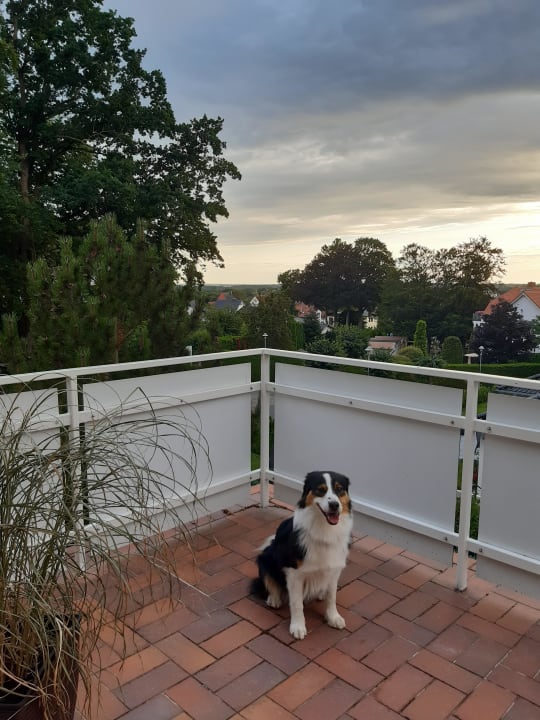 Ausblick Hansehus Zinnowitz