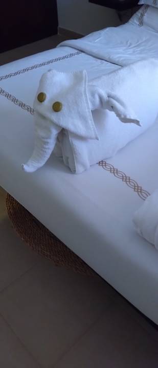 Sonstiges Fort Arabesque Resort, Spa & Villas