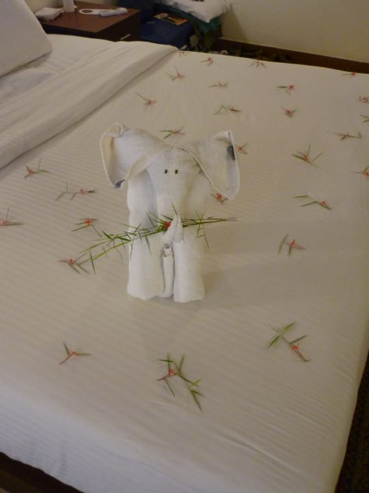 Zimmer Hotel Abad Turtle Beach