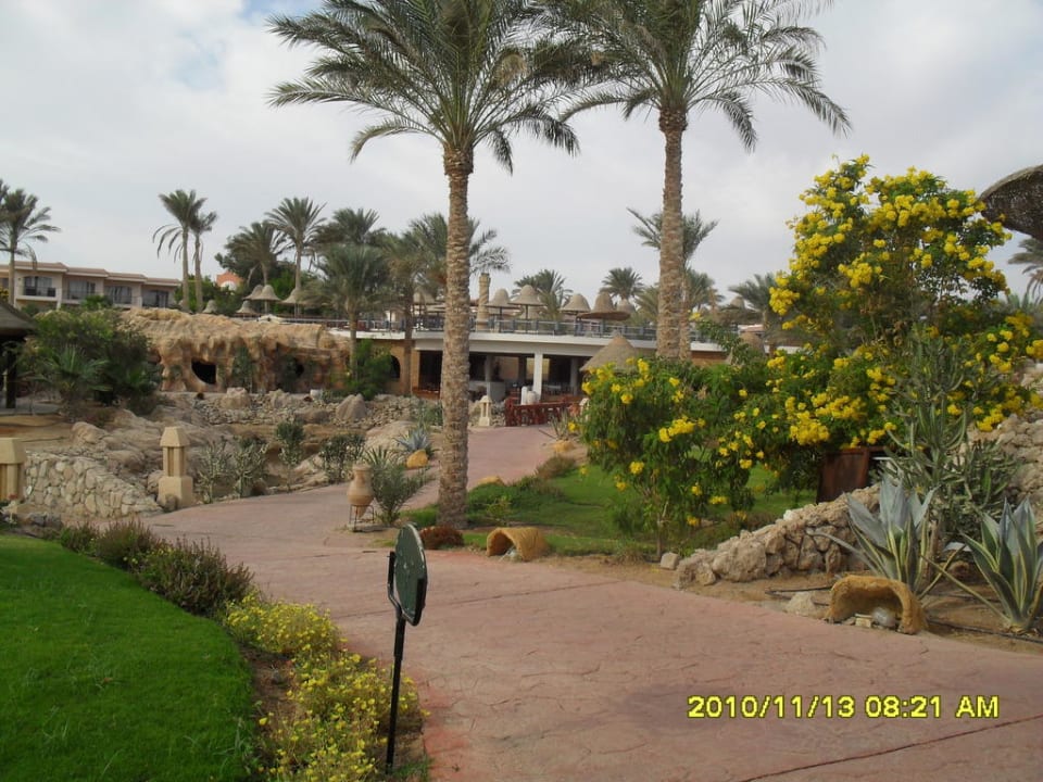 Garten  Parrotel Beach Resort