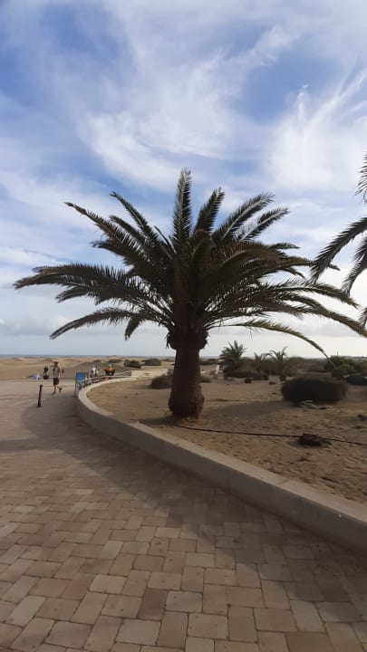 Sonstiges Hotel Riu Palace Maspalomas Adults Only