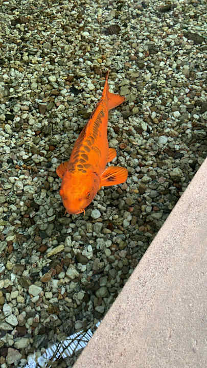 Ausblick Tropical Islands Resort