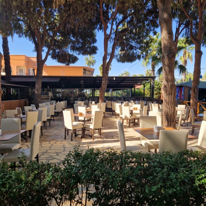 Gastro Club Turtas Beach Hotel